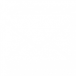 email icon white