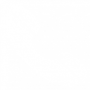 phone icon white